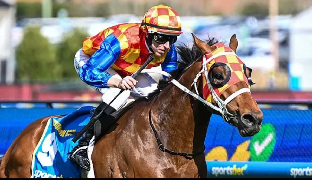 🦴🦴Declaring Autumn Boy as my Bet Bet in the country today!!  Watch in Awe today!!   This Boys very Special!! $3.70 is a gift and we won’t see this price again!! 🦴🦴