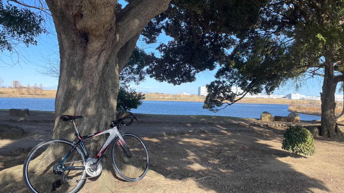 のの/個人v好き 🩶🩹│🐼🍳│〰️🍒💭│🪼💫|🧊✨|📄❓|🐈⬛💫|🐹🍰 tweet media