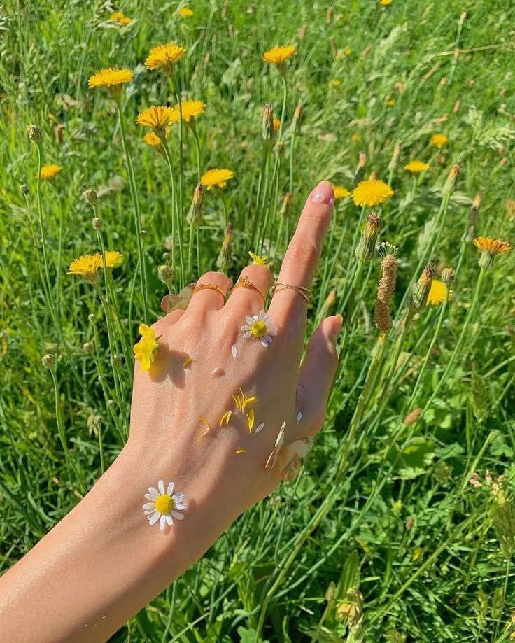 World Click (@worldclick56) on Twitter photo 