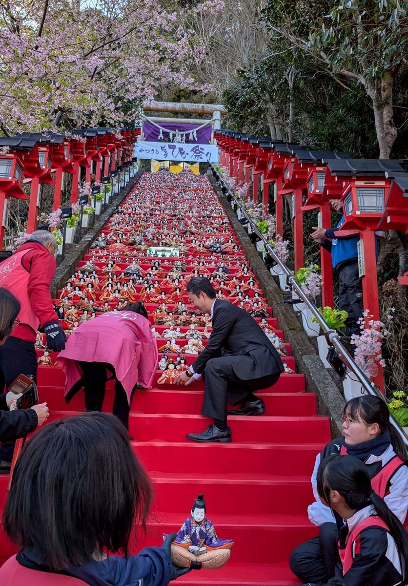 いよいよ「2026かつうらビッグひな祭り」スタート！ 私も遠見岬神社で