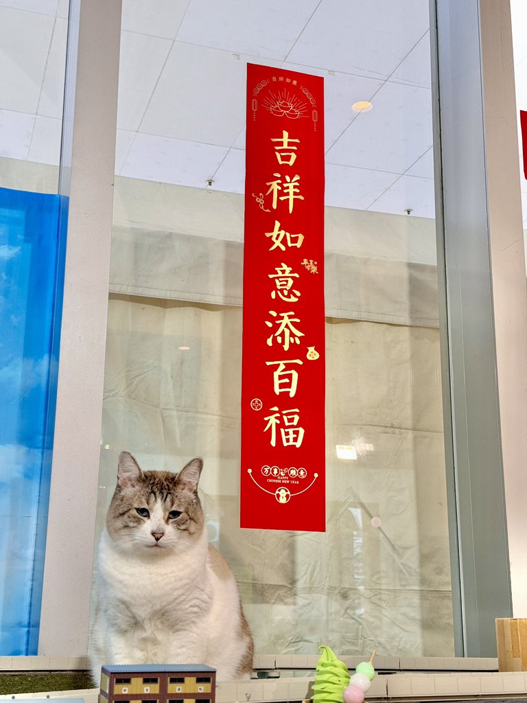 🥺✨新年快樂✨🥺