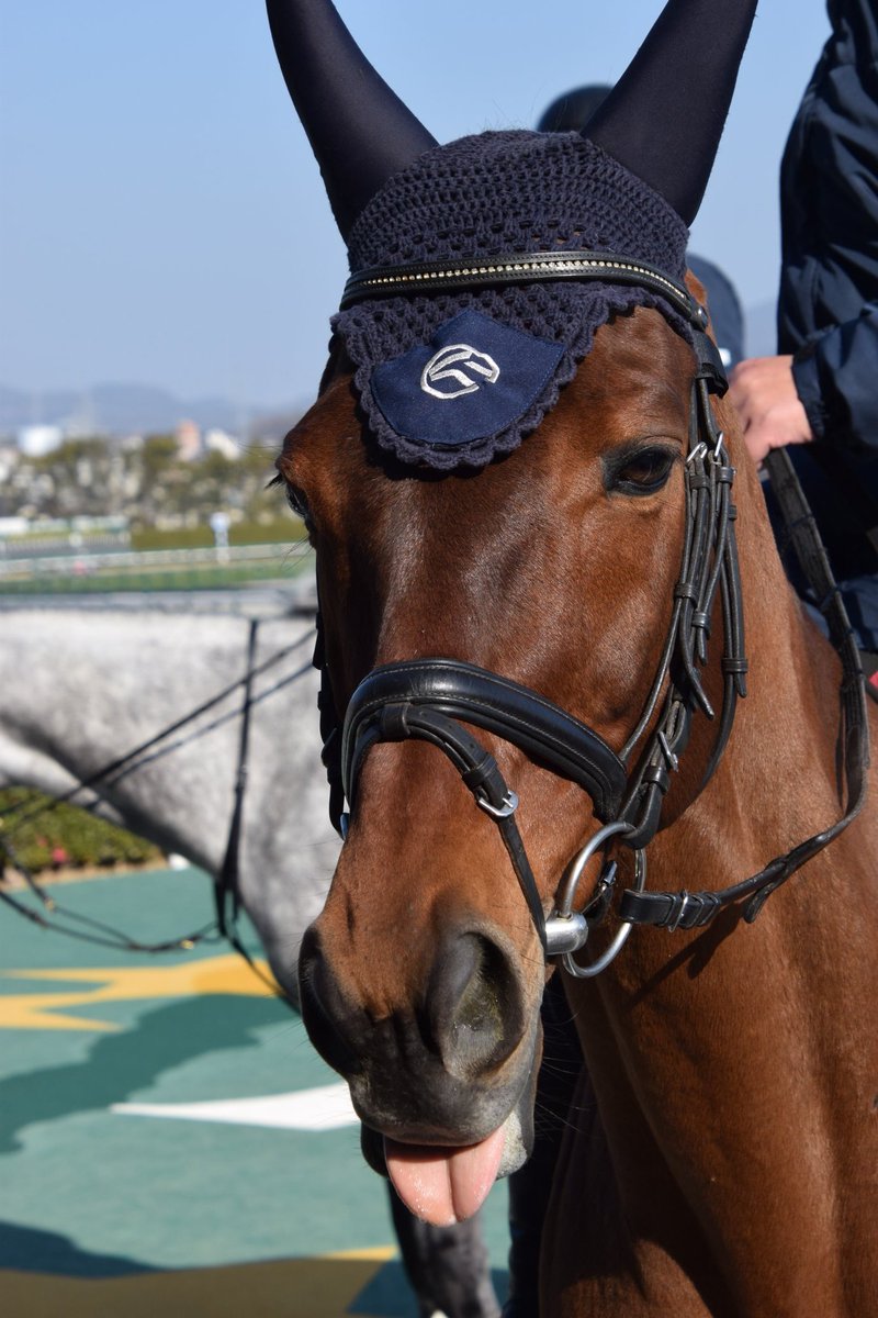 yousuke (@nsw0hqOoZI41867) / Posts / X