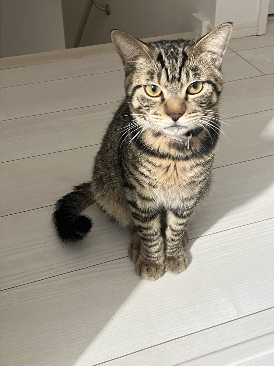 お水飲んだ後はいつもビチョビチョ…ｴｹﾁｪﾝ…