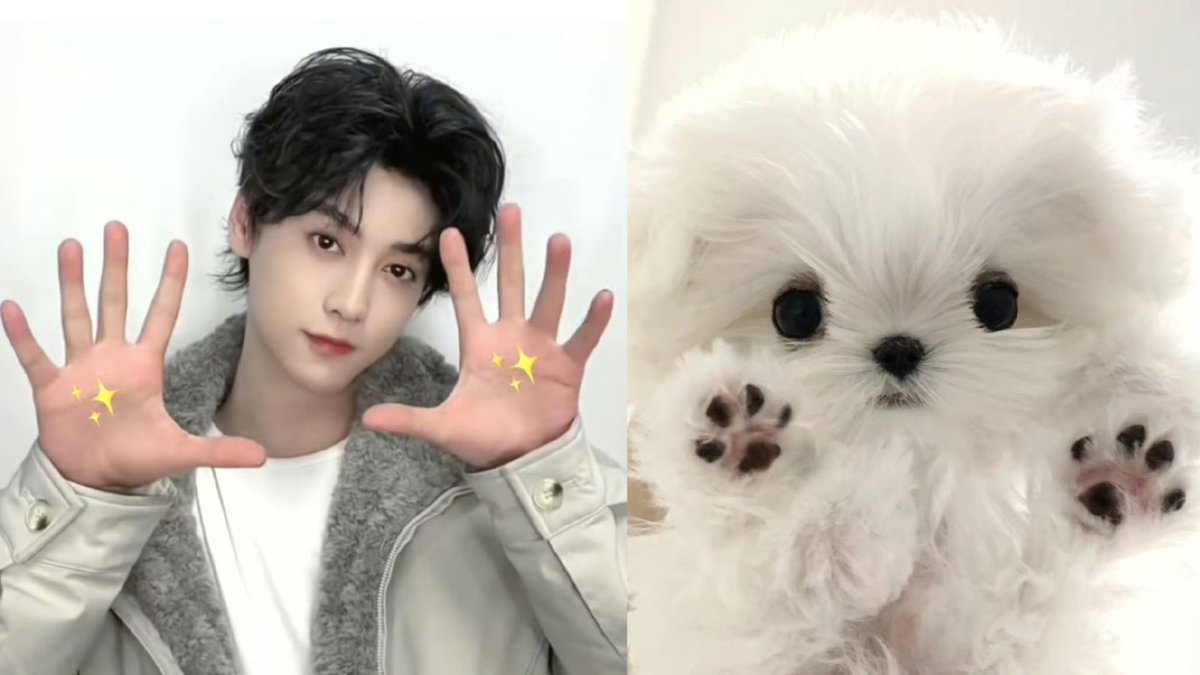 내 강아디♡
