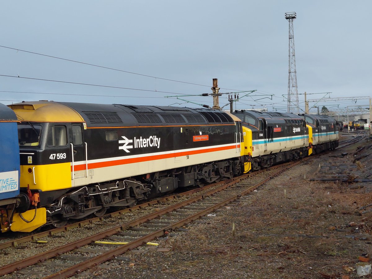 Trainiac Videos (Niki) tweet media