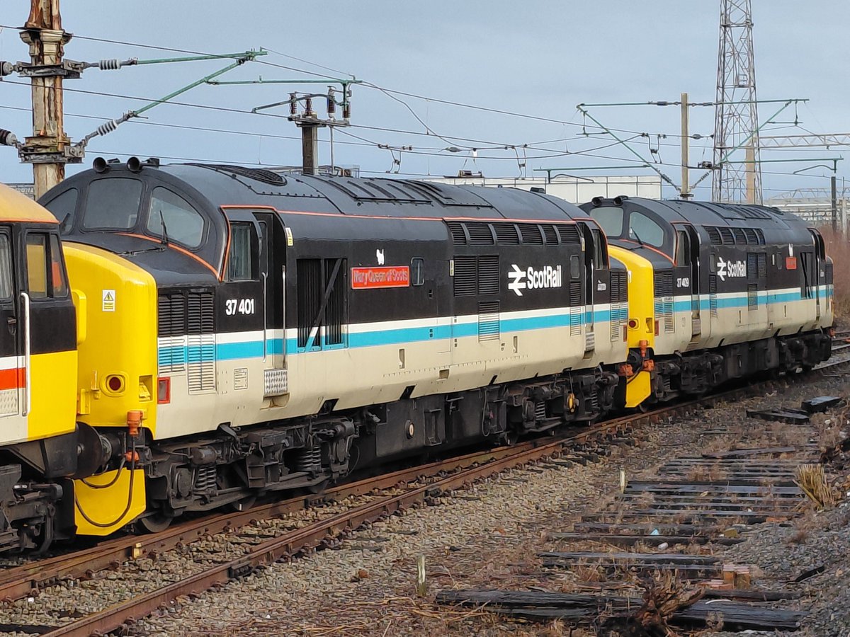 Trainiac Videos (Niki) tweet media