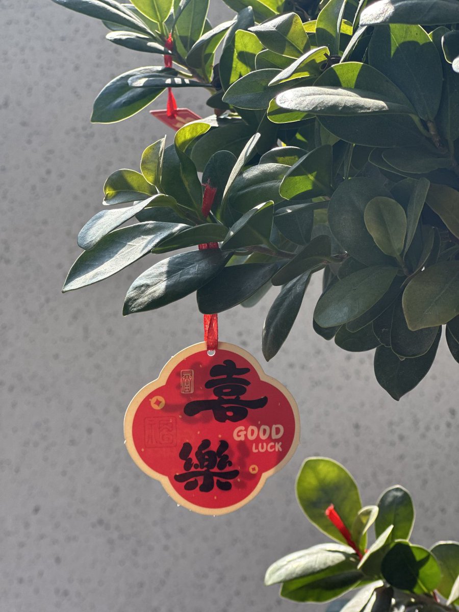 bbasszhanl's tweet photo. 花が咲くのを静かに待つカウントダウンの日々🤗 https://t.co/sGRGGGhmZR