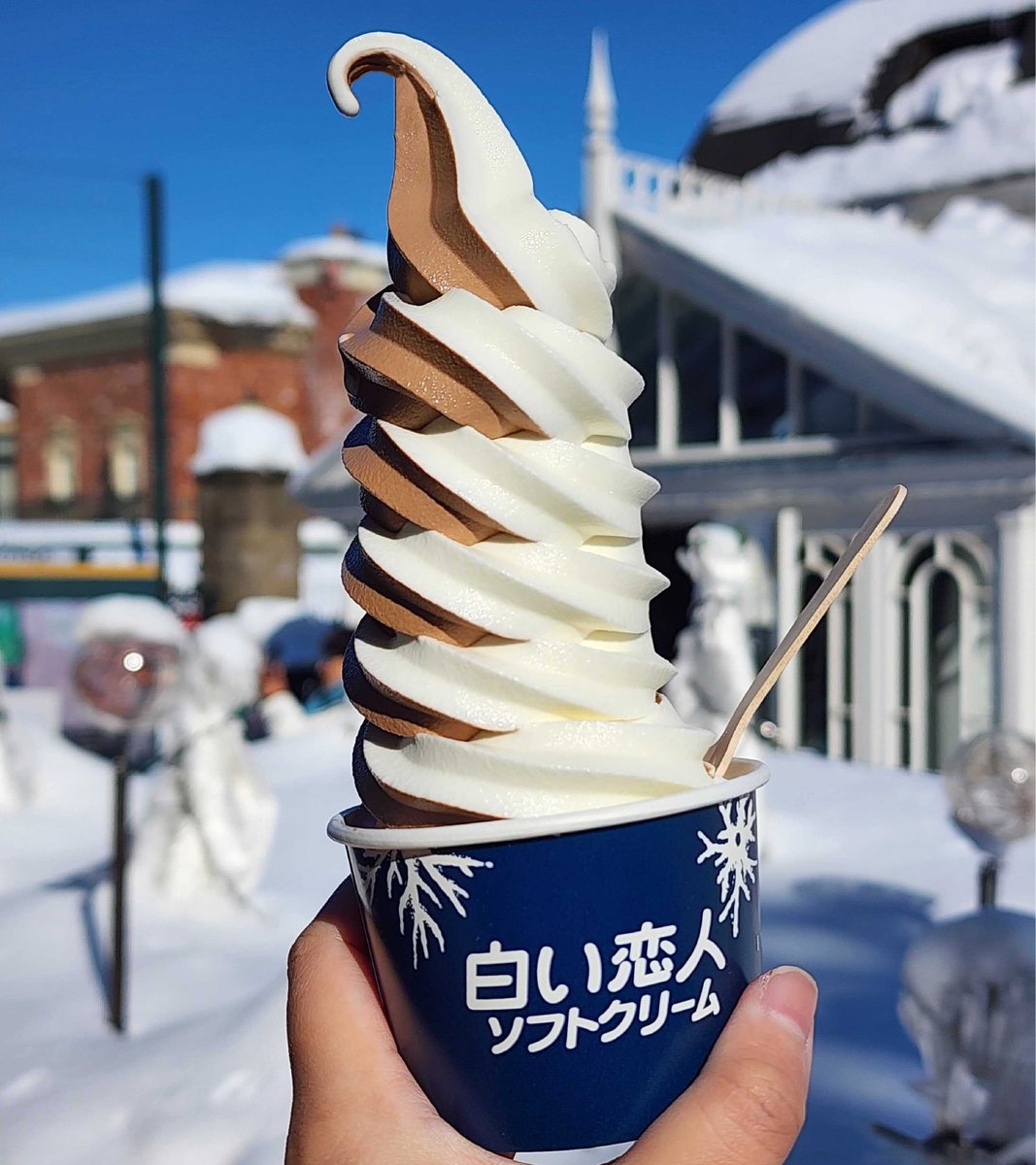 ふわ黒幕 ver5.0 （8964天安門事件 لحم خنزير لذيذ） (@96mac) / Posts / X