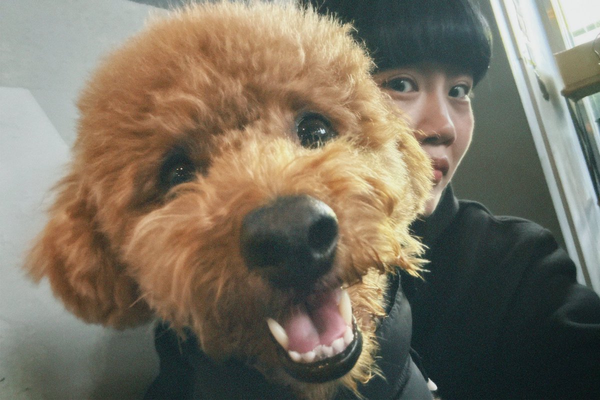 Y092U5RI's tweet photo. 皆さんどうもおはまるです🐟
1ヶ月ほど更新しておらず...時経つの早！

ぷちゃんをお迎えして2年が経ちまして
自分を取り巻く環境にも変化があり
ドッタンバッタン仲良く暮らしてます🚶‍♀️✨

都内在住だったのですが新境地へ
移ってみようかなと思い動いております
花粉症の季節 みんな気を付けてね🌲 https://t.co/Iy6ia0dyep