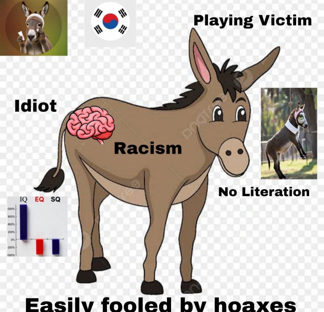 mathewy 🇮🇩 tweet media