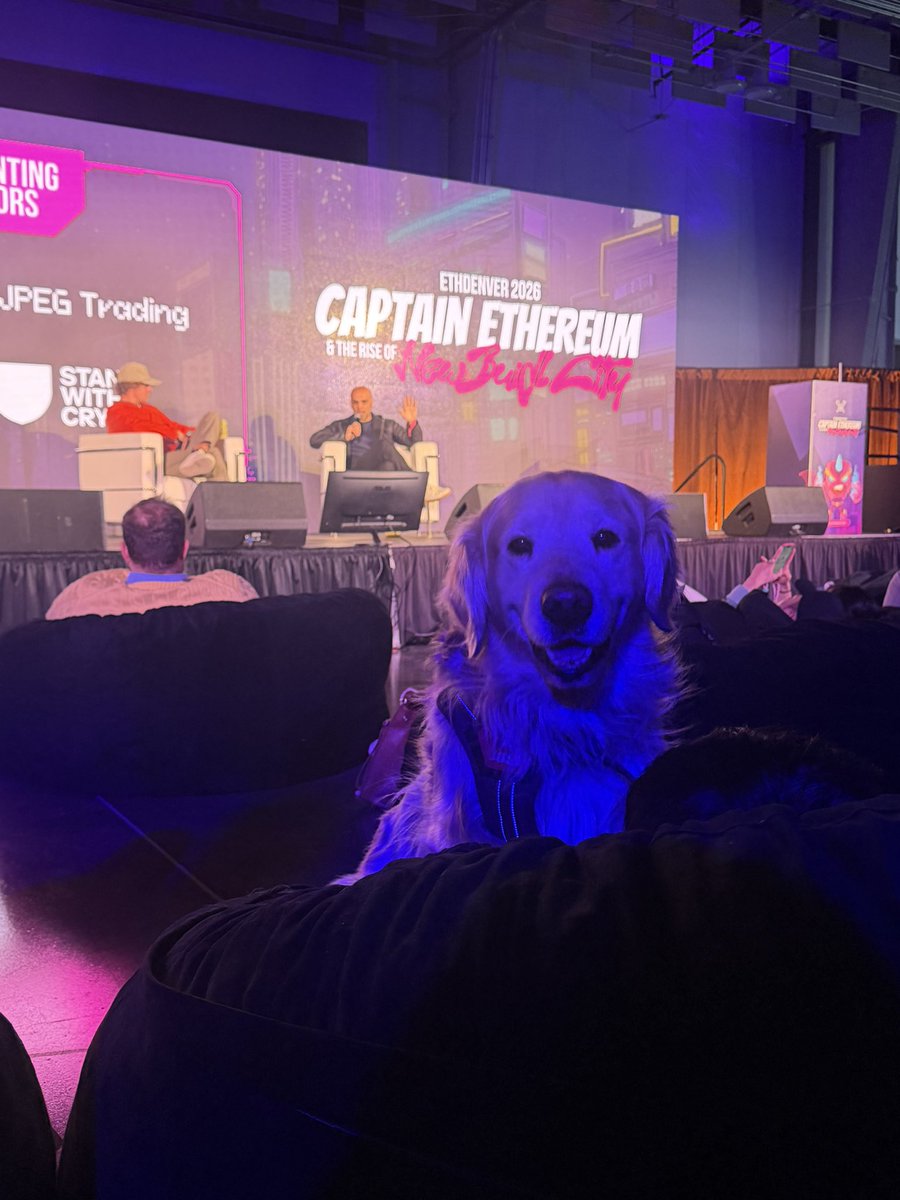 Fiona Aboud tweet media