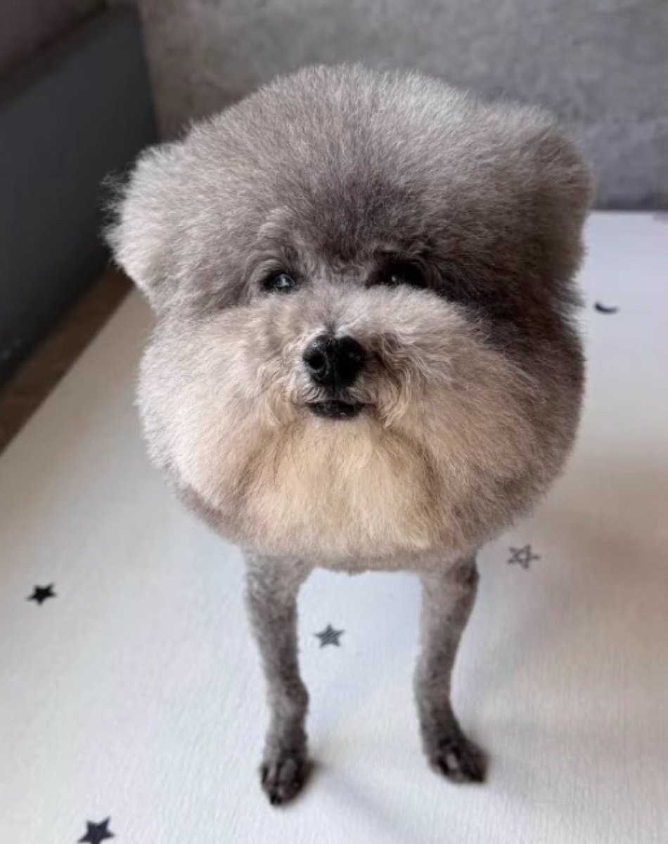 ⭐️W.A Nuthead⭐️ tweet media