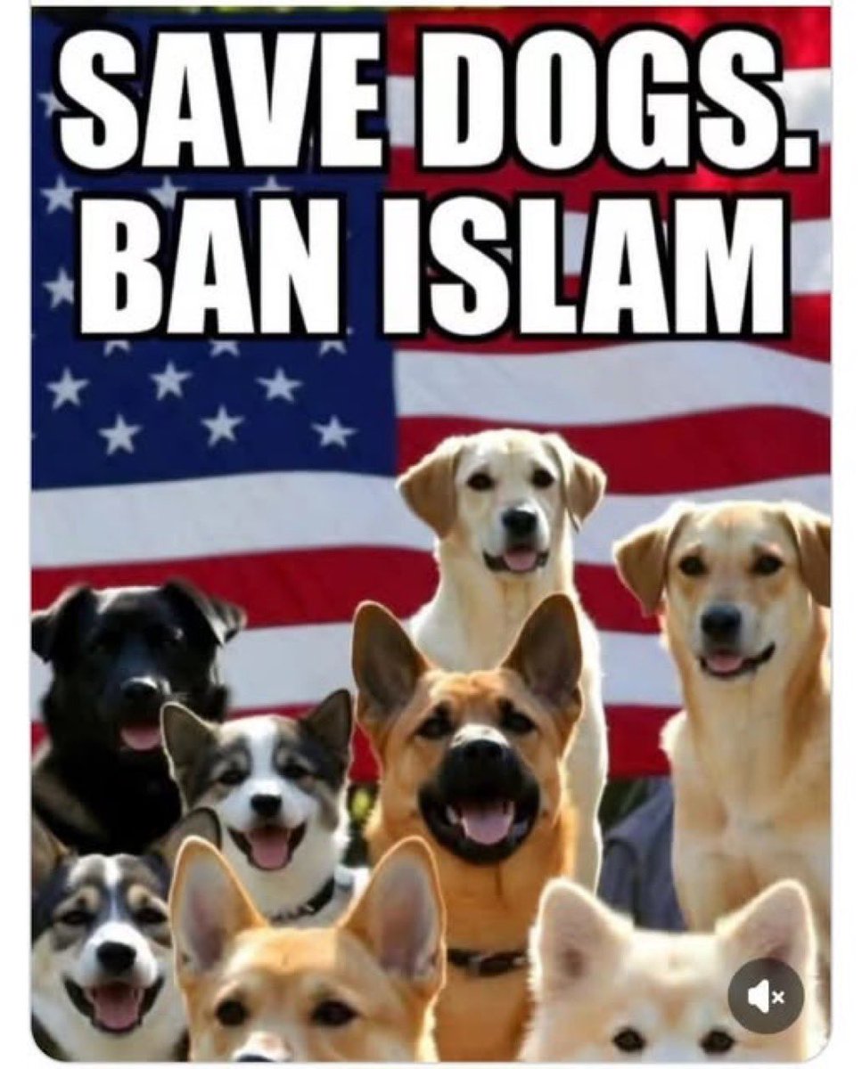 Repost to SAVE THE DOGS!