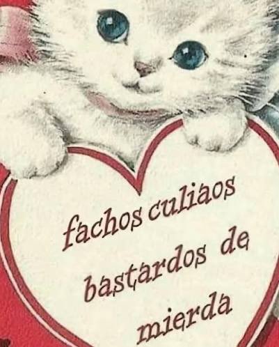 Roberto cox #GalaViña2026