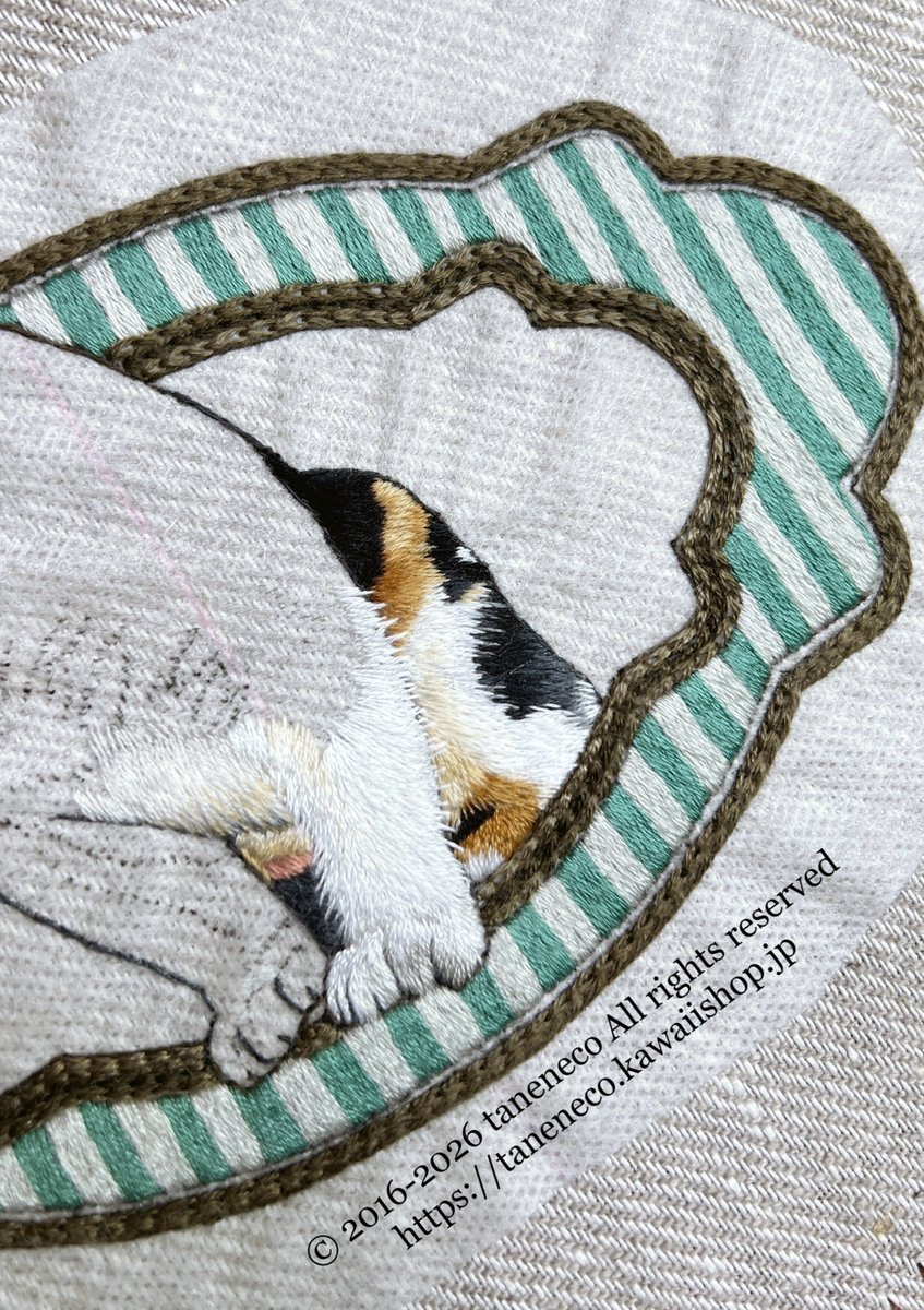 ひねこ🐈 (@MarchenCat) / Posts / X