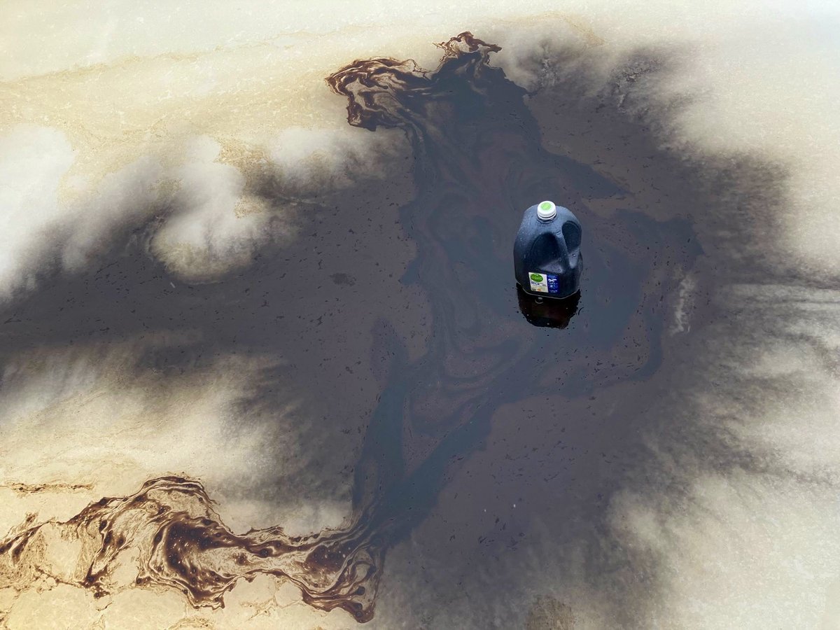 Roma Daravi tweet media