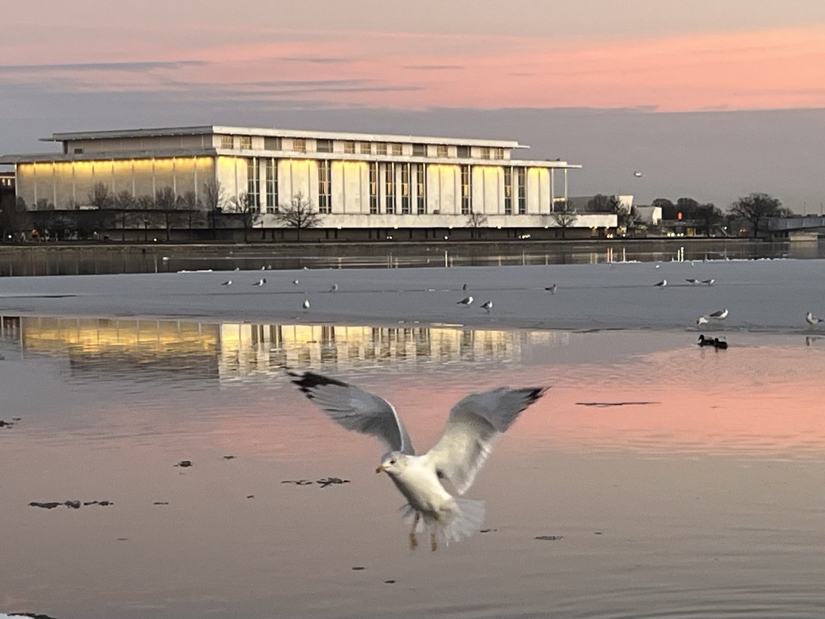 Jeanne Stuart McVey tweet media