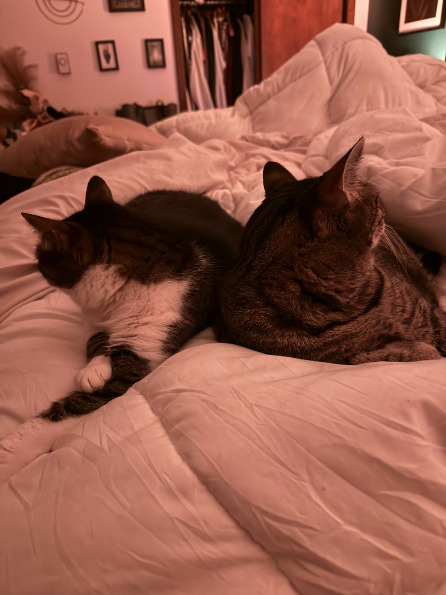 c. | badlands nyc 1 💙 tweet media