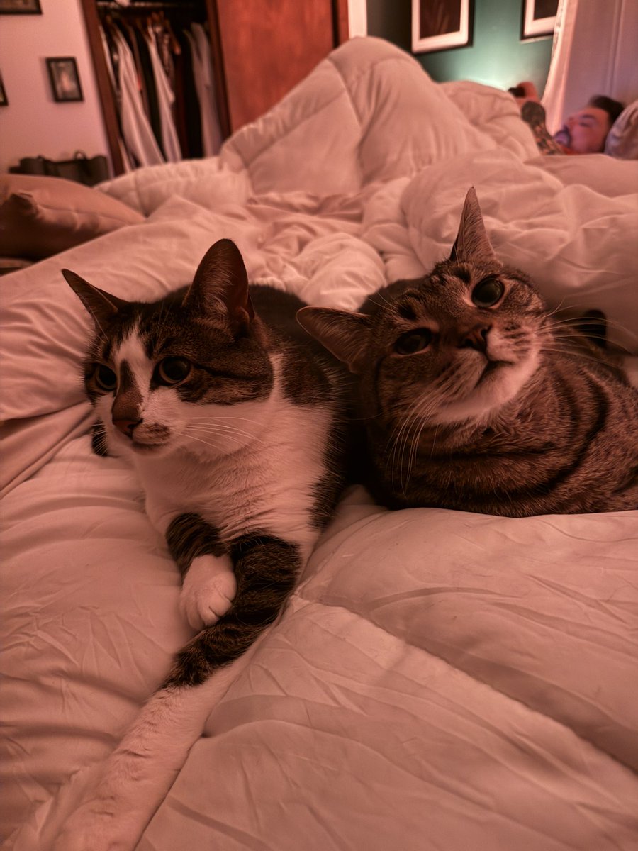 c. | badlands nyc 1 💙 tweet media