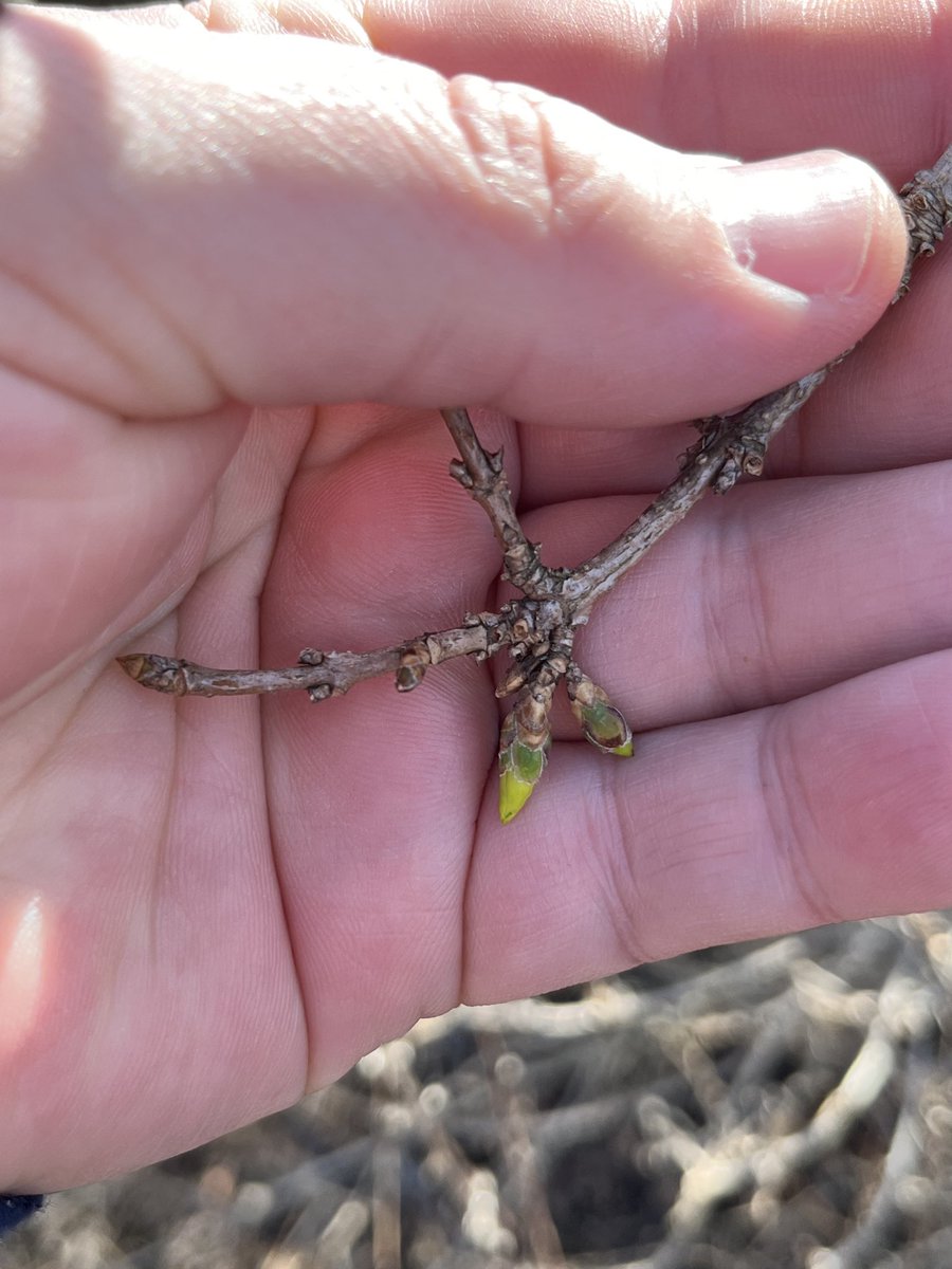 Kenneth Clayton tweet media