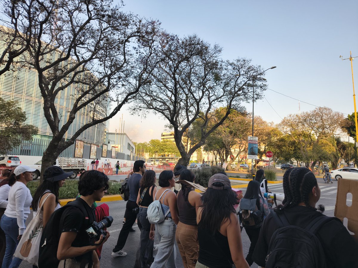 Alejandrodulove's tweet photo. Poblanos Salvemos al Parque Juarez,  las pocas áreas verdes y el arbolado urbano que tiene la Ciudad. Para construir un Cablebus van a derribar muchos árboles maduros, más de 400 árboles en el Parque Juarez @SEMARNAT_mx @AmbienteGobPue @PueblaAyto https://t.co/yQWGFfjXJg