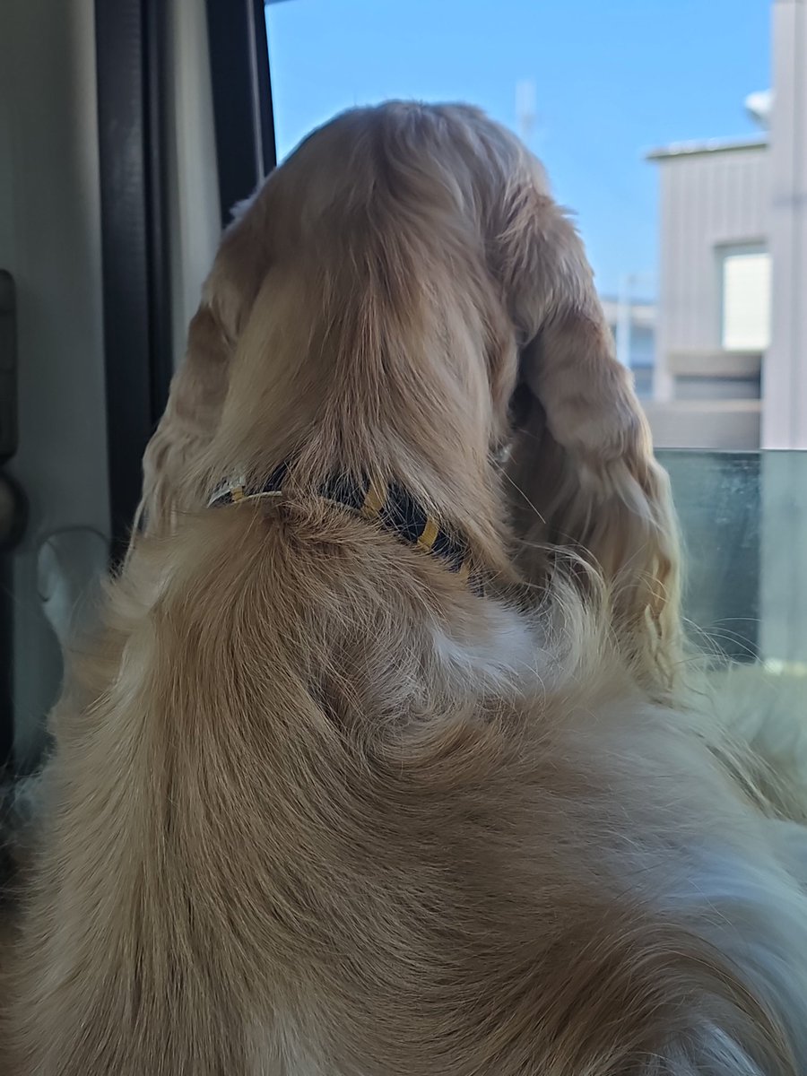 お出かけでしゅよ～🎵😍🎵 梅を見に行くでしゅ。 もちろん絵里姉も一緒