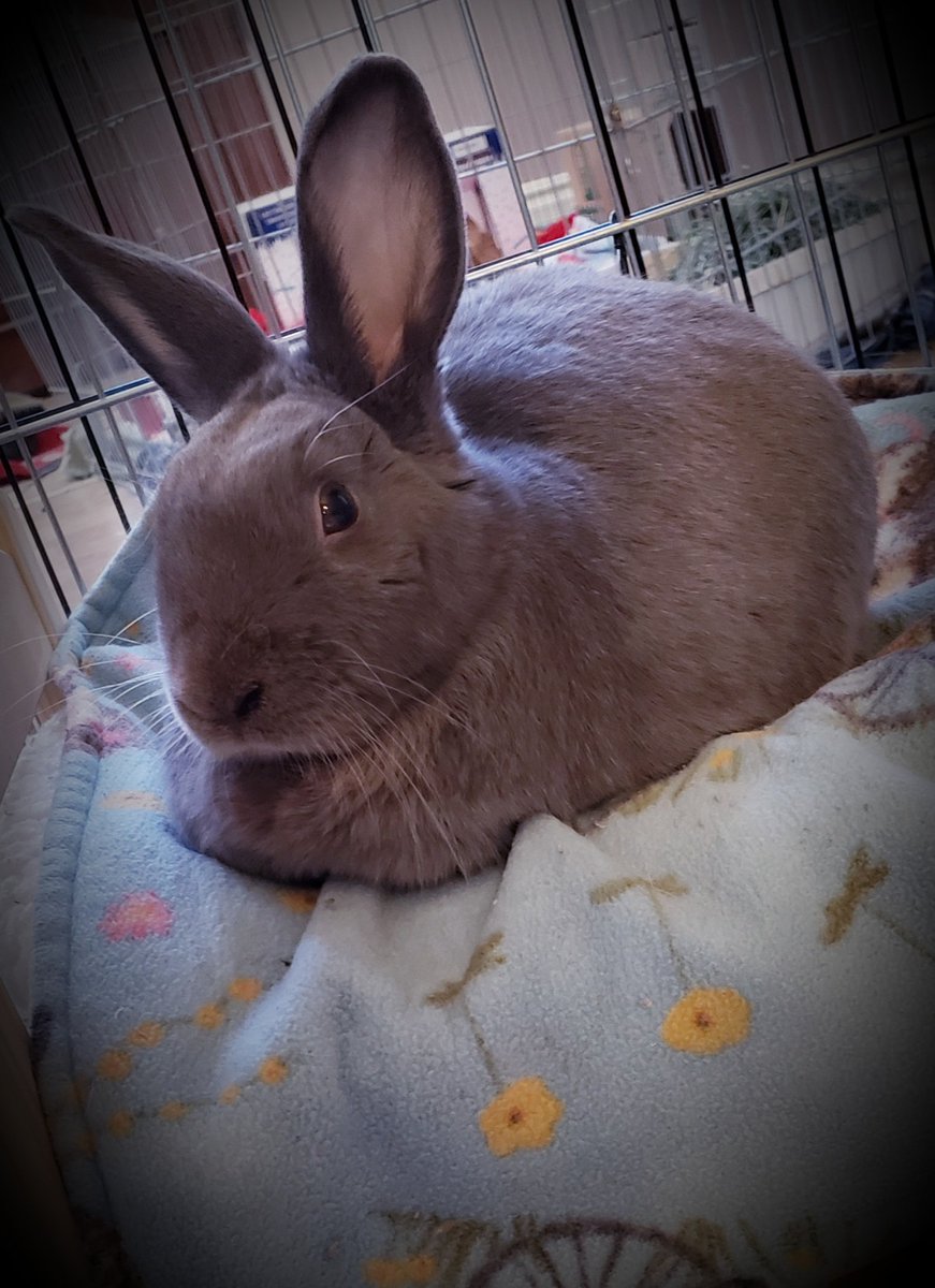 Tranquility Trail tweet media