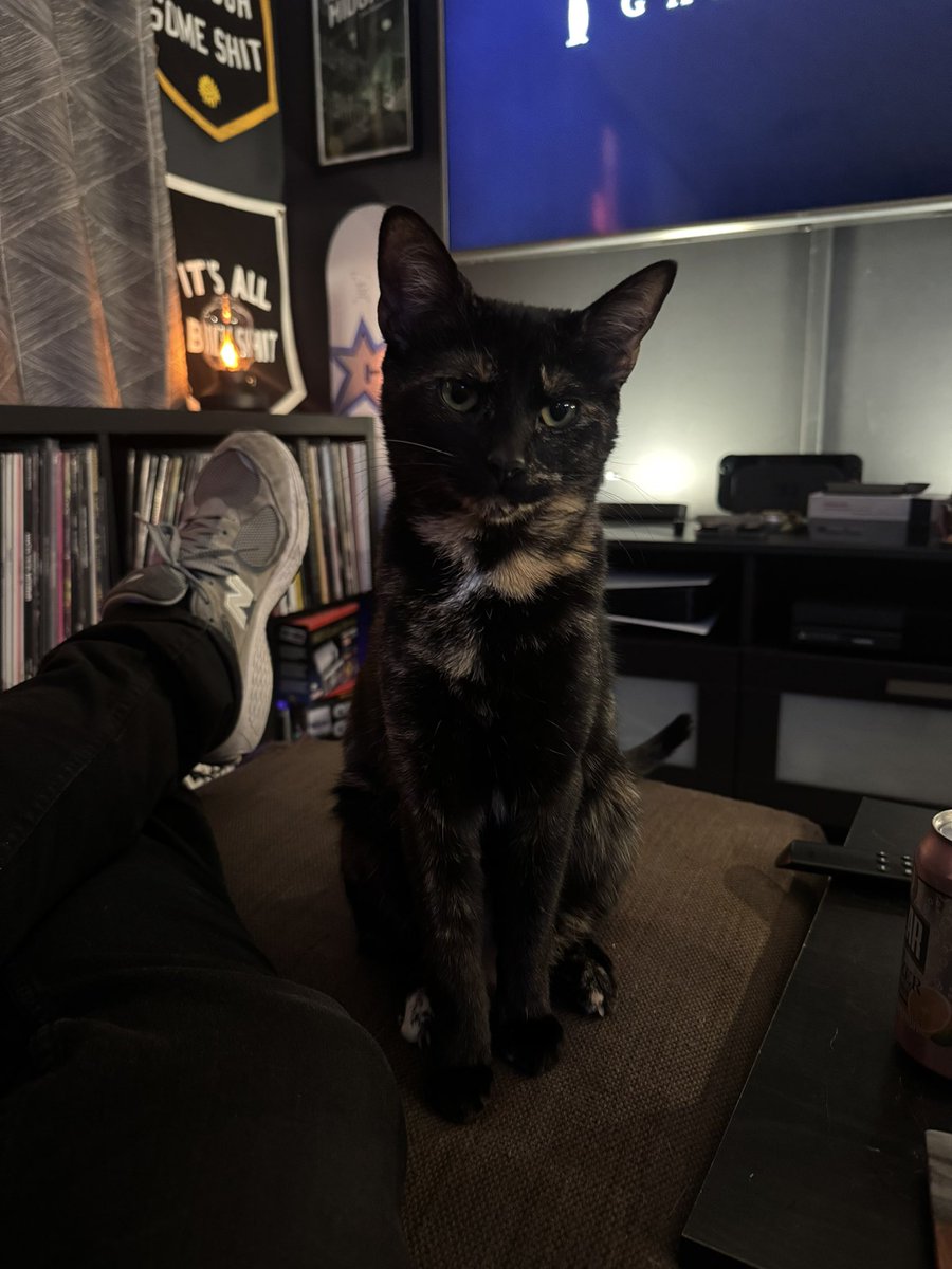 a salty dog tweet media