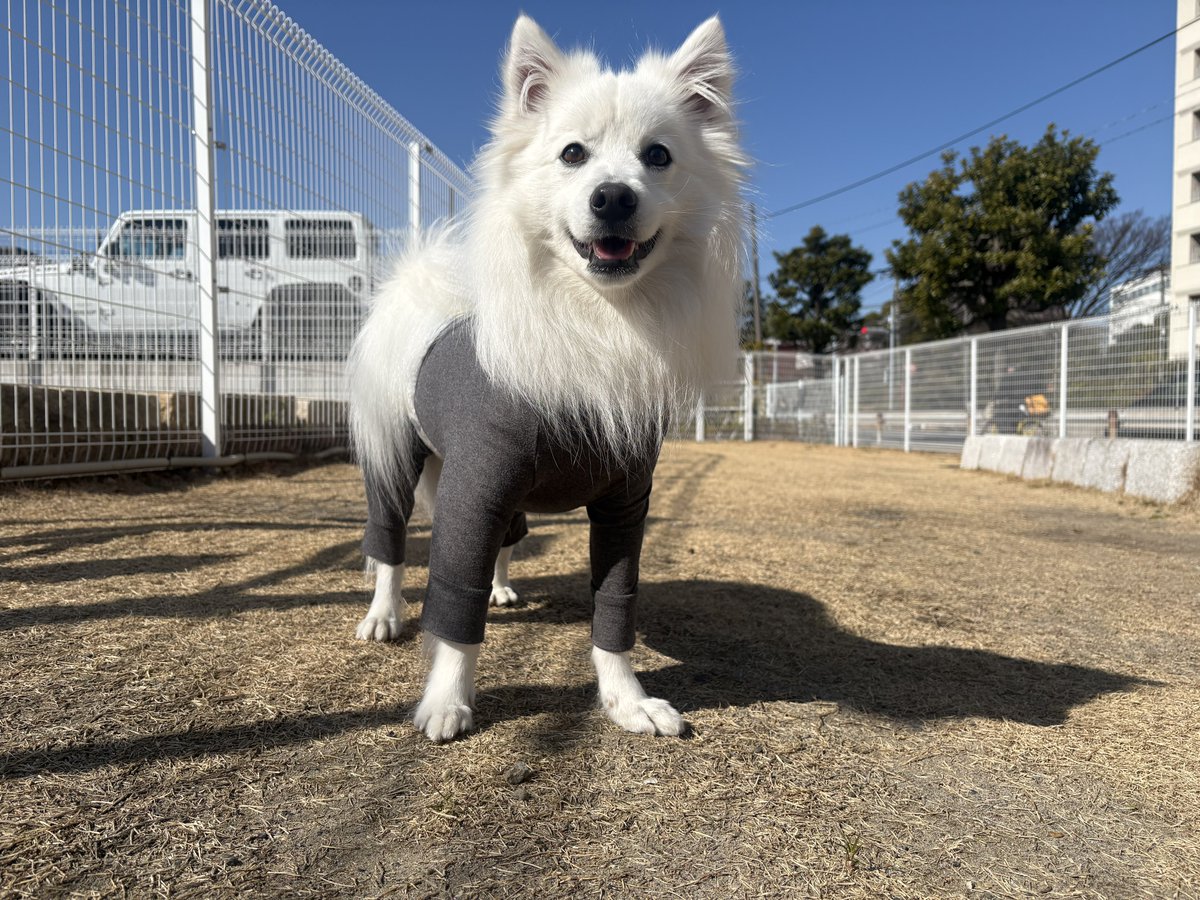 今週も🐕