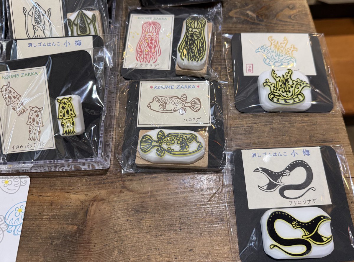 #アクアティックライフ展7
後期3日目。週末です🪼🫧

追加もどしどし納品されますよー🦈

今日は終日WSもあります(満席)
見学もできます🦑🐙

限定のマグロランチはお早めにどうぞ🍣
13:30ラストオーダーです🐟
ご予約はsuidocafeさんへお願いします🙇

ラスト二日楽しみましょう🦭
お待ちしてます！