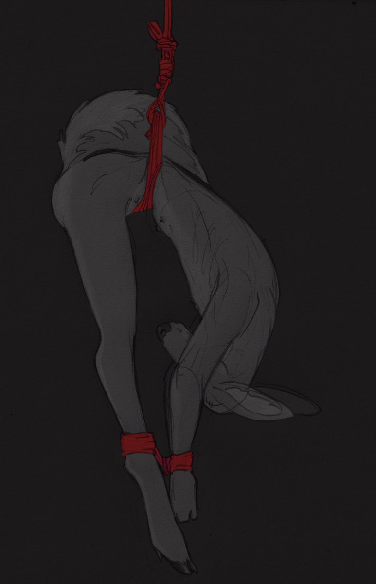 kit ⋆ ⋆ ⋆ comms open tweet media