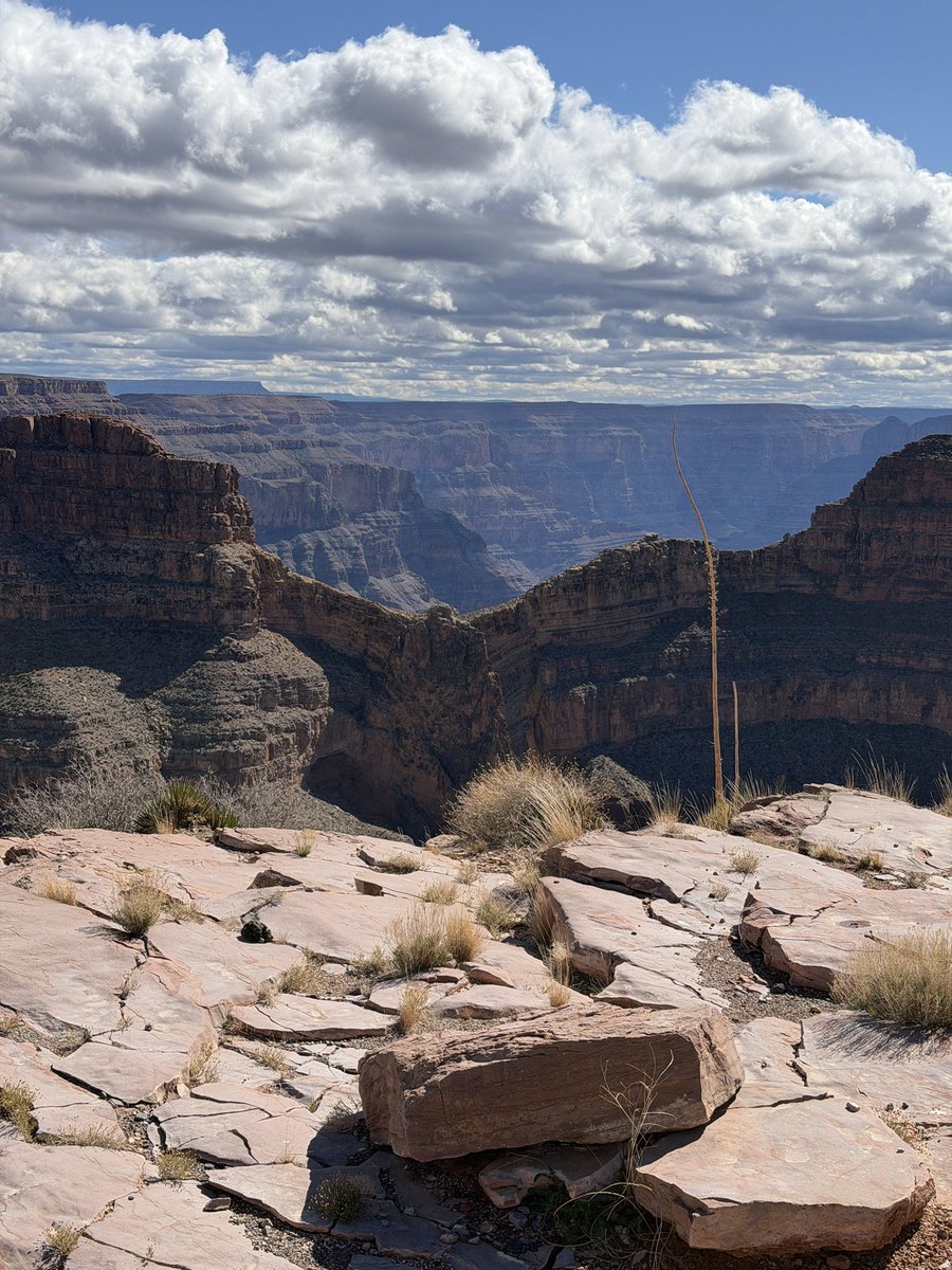 Lo que más quisiera es hacer un road trip por México, pero ya no se puede porque te asaltan, te levantan o te desaparecen 😞