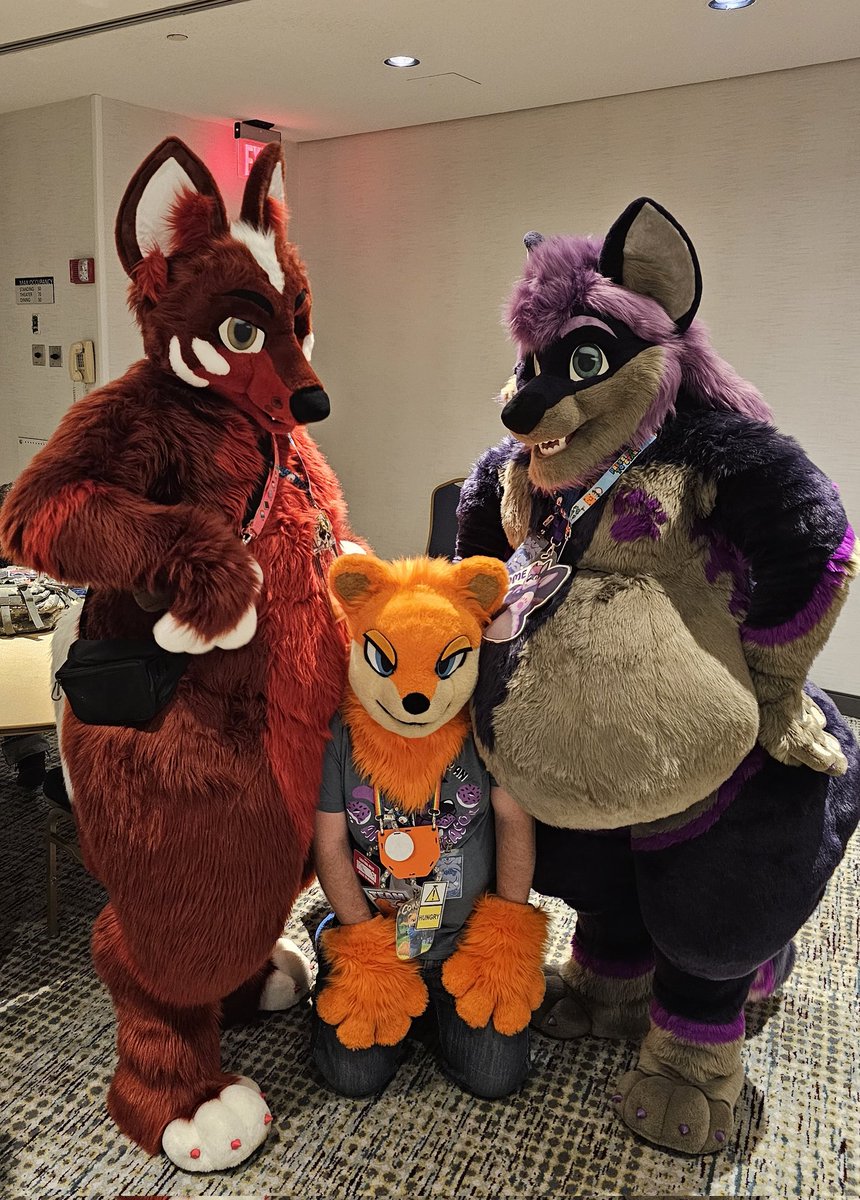 lex/Conker 🔜 idk tweet media