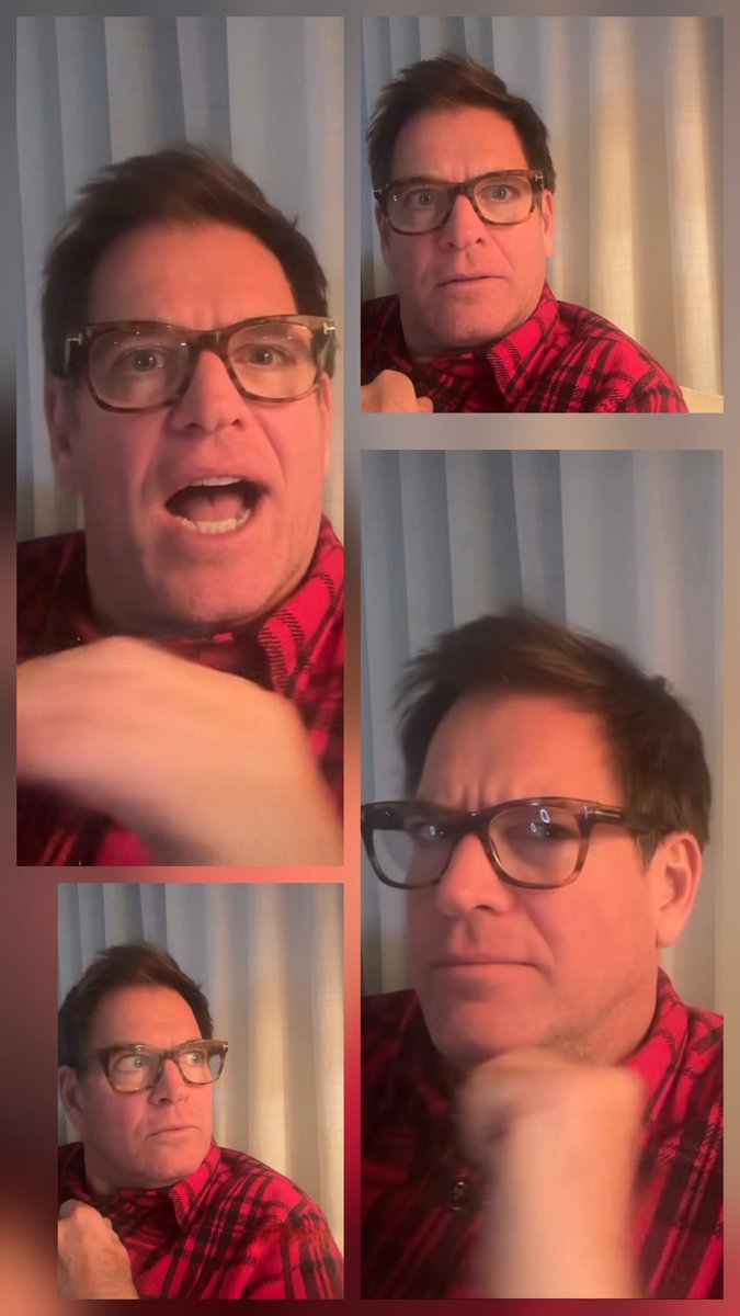 Gina Evans tweet media