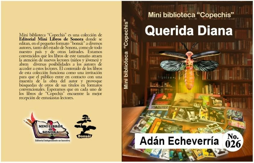 Adanhombreave's tweet photo. #libros #minilibros #portada #cuentos #infancias #Sonora #Yucatan #Matamoros #Tamaulipas https://t.co/OWjP48K9Mt