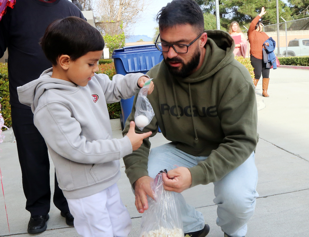 Todd Guild tweet media