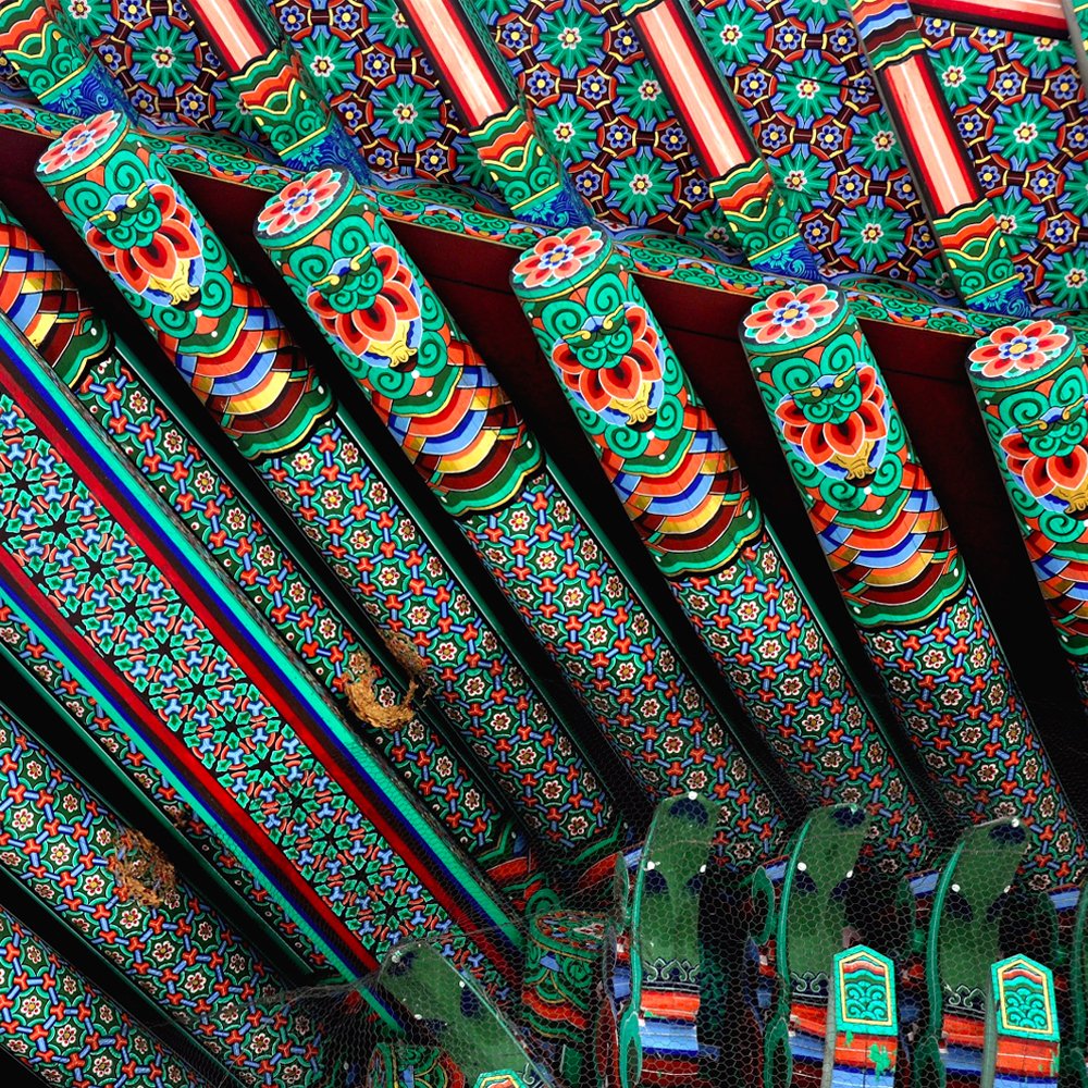 과학과 사람들 tweet media