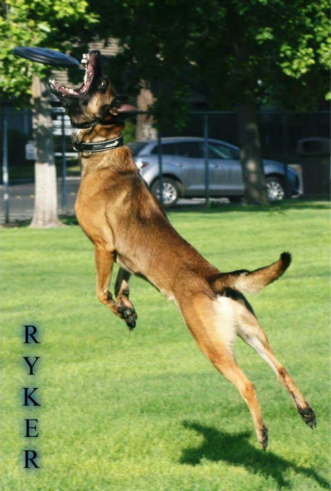 Silent_Sarah 🙏🇺🇸 tweet media