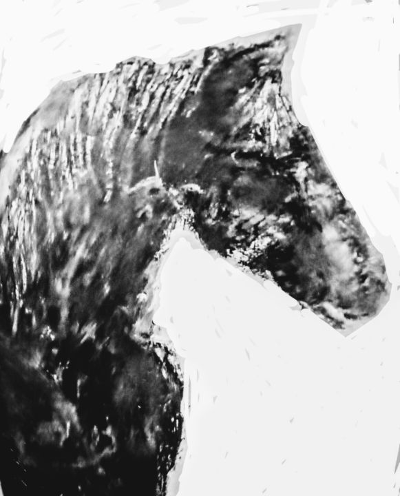 Art of the Day! "Hondo". Buy at: ArtPal.com/benvaldez?i=24…