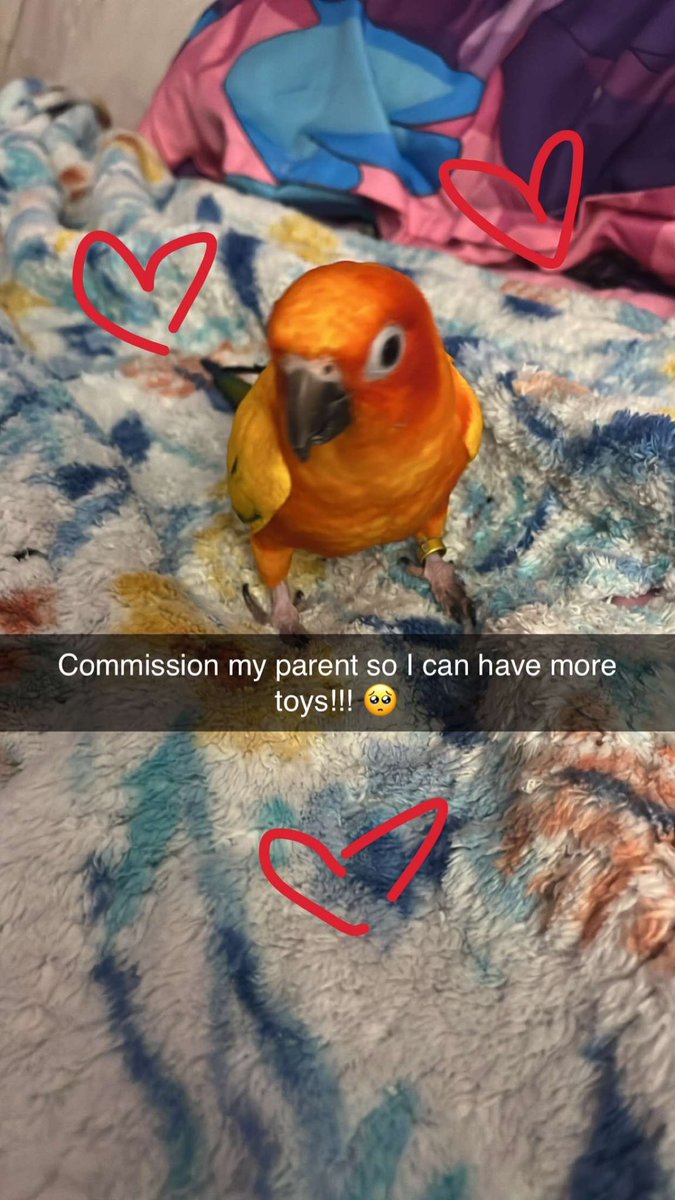 StellaX88's tweet photo. Hey guys I wanna buy more parts to make beans her toys so I'm open for commissions 👉👈 chibi telegram sticker are $5 each regular telegram stickers $8 each or 4 for $25 and icons are $10 each or $18 for couples.I'm hoping to make $75 to about cover it :) if interested messageme! https://t.co/cUH6p42oeI