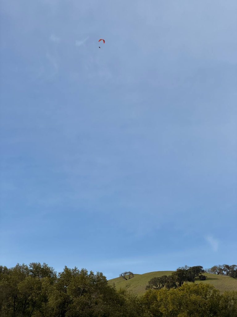 Richard Burton tweet media