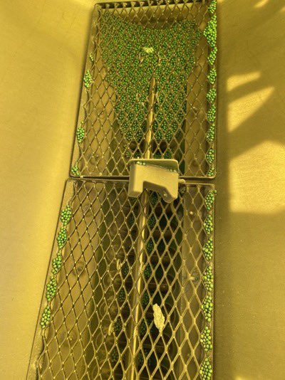 Travis Van Well tweet media