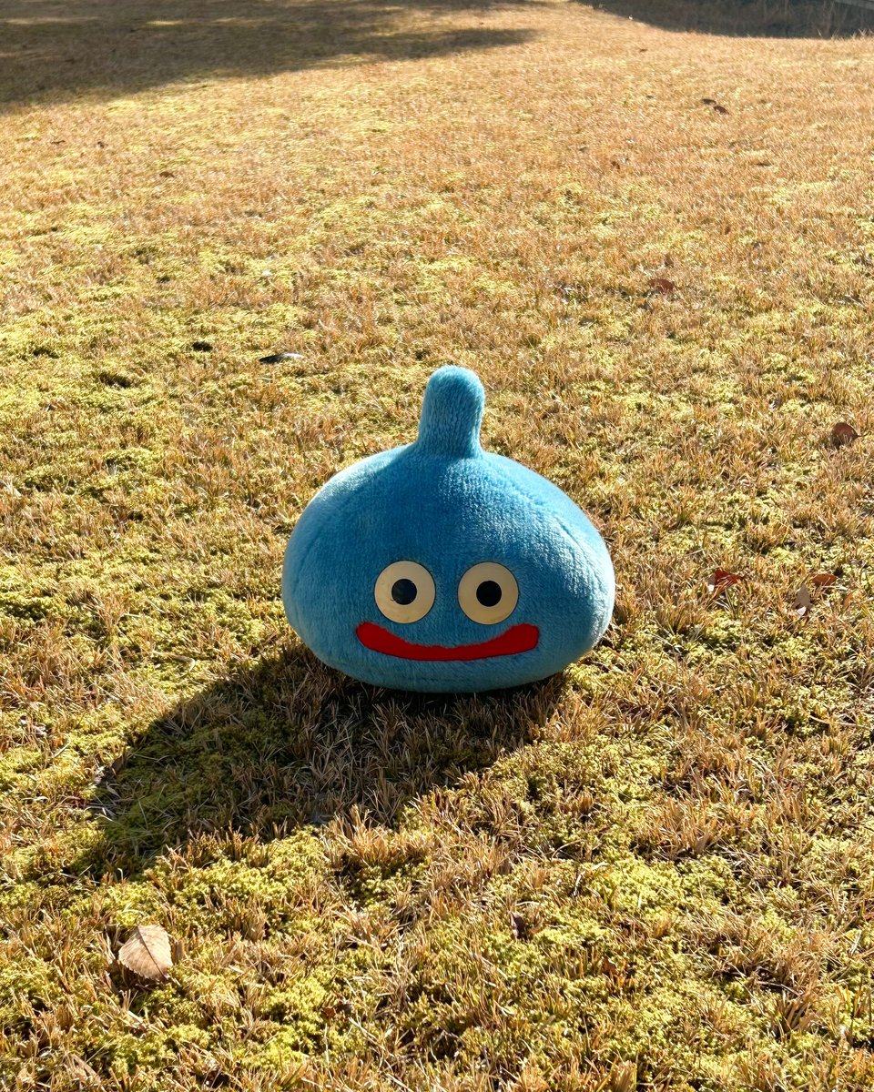 仲間になりたそうにこちらを見ていたので仲間にしよう。
お店にいてもらおう。