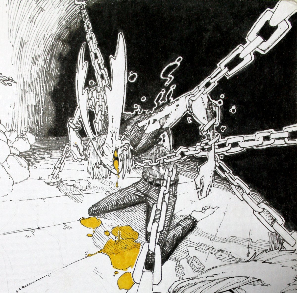 ThaFrog 𓆏 tweet media