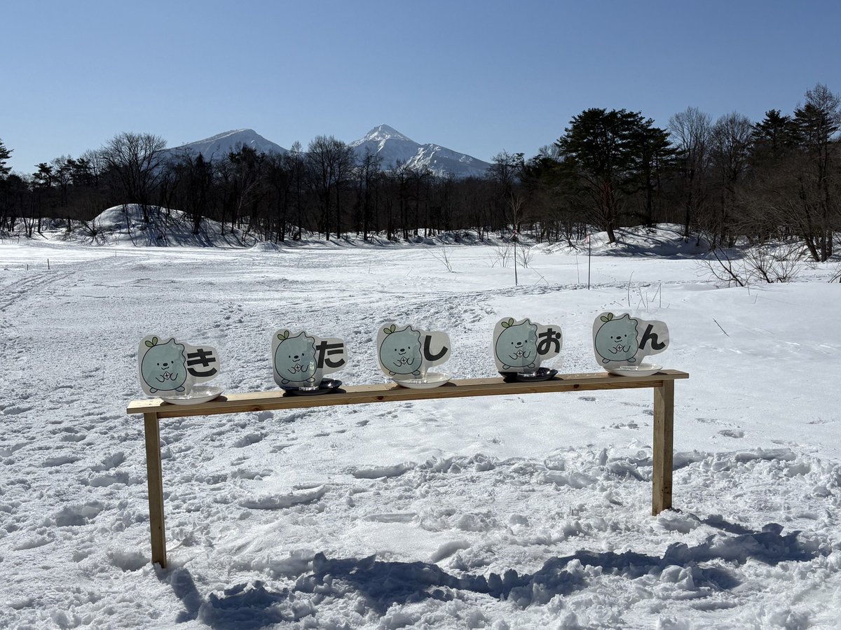 本日開催！／ #裏磐梯雪まつりナイトファンタジー 2026❄️ 裏磐梯