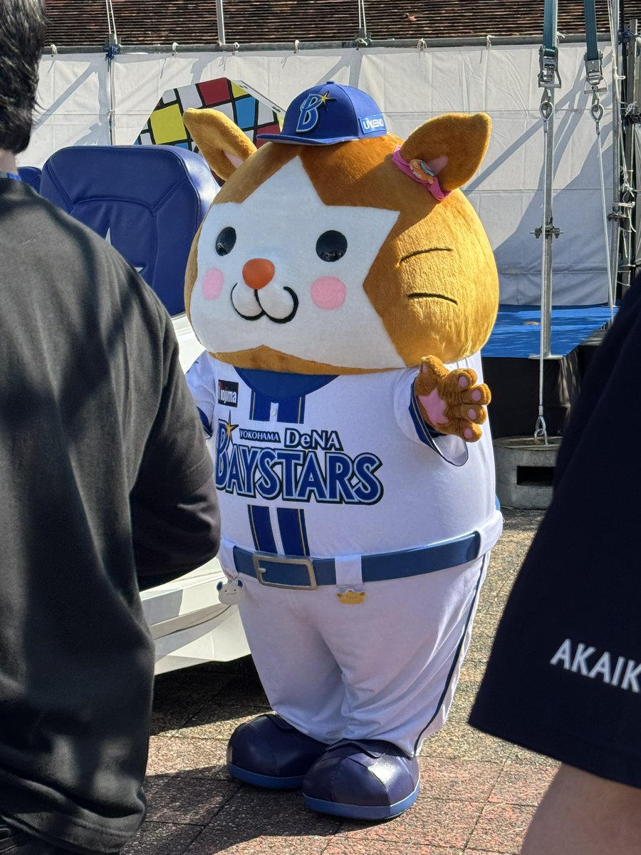 今年は来れたのだーー！暑いー！！夏よ