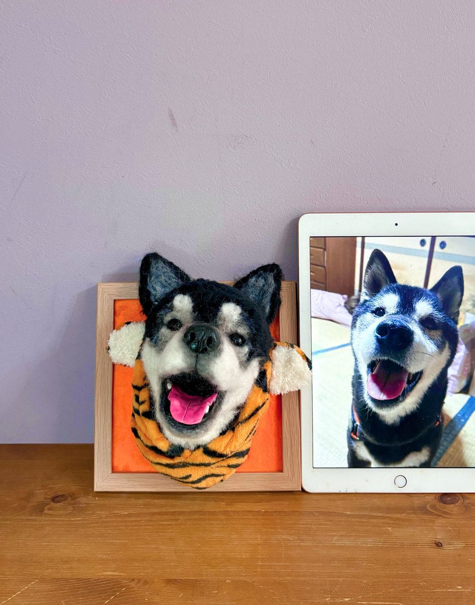 収録以外の時間は羊毛フェルトの仕事頑張ってる 今日もチクチク針