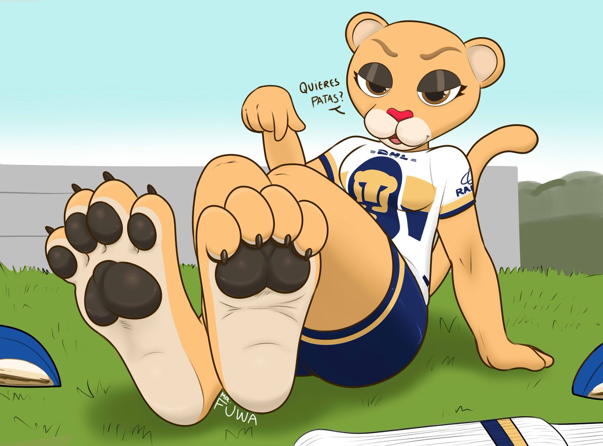 goya patas 🐾👀