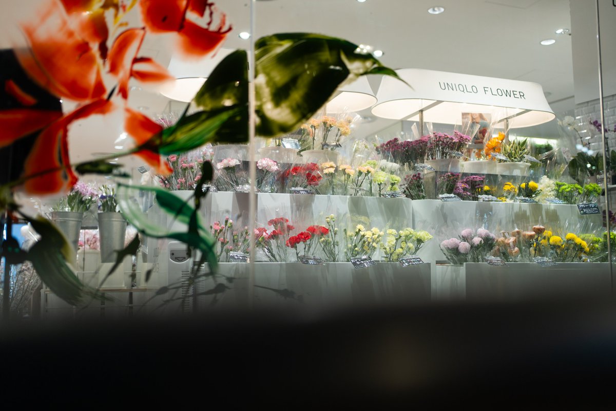 EitoCamera's tweet image. Their life in Shinjuku