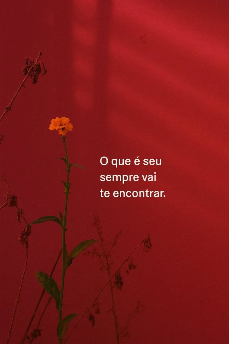 UmFilosofoCitou's tweet photo. https://t.co/k7Ghxht6zx